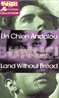 Um Cao Andaluz