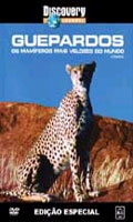 Discovery Channel Guepardos Os Mamiferos Mais Velo