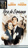 Rosa De Esperanca