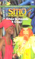 Sitio Do Picapau Amarelo - O Poco Do Visconde E O