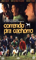 Correndo Pra Cachorro