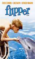 Flipper O Menino e o Delfim