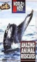The Worlds Most Incredible Animal Rescues