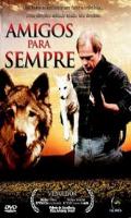 Amigos para sempre