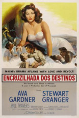 Encruzilhada dos Destinos