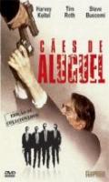 Caes de Aluguel