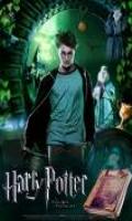 Harry Potter e o Enigma do Principe