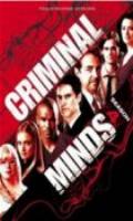 Criminal Minds Quarta Temporada Box 7 Dvds