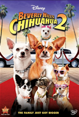 Perdido Pra Cachorro 2