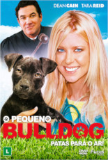 O Pequeno Bulldog