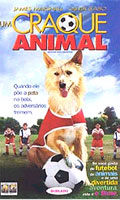 Um Craque Animal