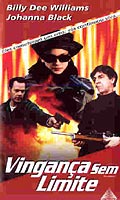 Vingança Sem Limite