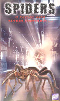 Spiders